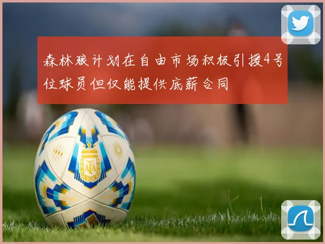 森林狼计划在自由市场积极引援4号位球员但仅能提供底薪合同